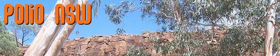 Mutawintji River Red Gums